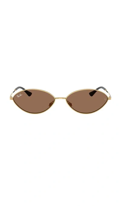 Ray Ban Kai Oval Sunglasses In Brown
