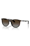 Ray Ban Ray-ban Kids' 47mm Small Phantos Sunglasses In Havana