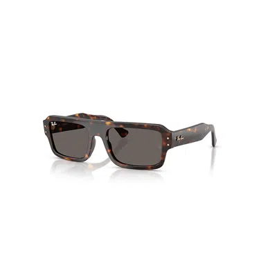 Ray Ban Lukas Bio-based Sonnenbrillen Havana Fassung Grau Glas 56-20