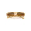 Ray Ban Lukas Bio-based Sunglasses Transparent Beige Frame Brown Lenses 53-20 In Transparent Beige