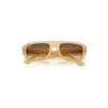 Ray Ban Lukas Bio-based Sunglasses Transparent Beige Frame Brown Lenses 53-20 In Transparent Beige