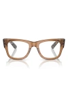 Ray Ban Ray-ban Mega Wayfarer 51mm Square Optical Glasses In Transparent Havana/grey