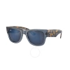 Ray Ban Ray In Blue / Dark