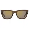 Ray Ban Ray In Brown / Gold