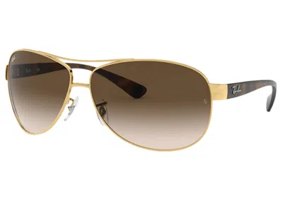 Pre-owned Ray Ban Men's Rayban Rb3386 Sunglasses In Polished Gold/brown (rb3386)