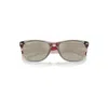Ray Ban New Wayfarer Disney Mickey & Minnie Mouse Liquid Sunglasses Red Frame Grey Lenses Polarized 55-18 In Red