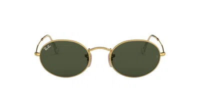 Ray Ban Oval Frame Sunglasses In 001/31