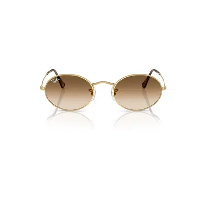 Ray Ban Oval Metal Sunglasses Arista Gold Frame Brown Lenses 51-21