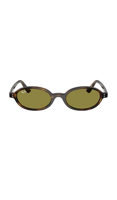 Ray Ban Oval Sunglasses In Brown