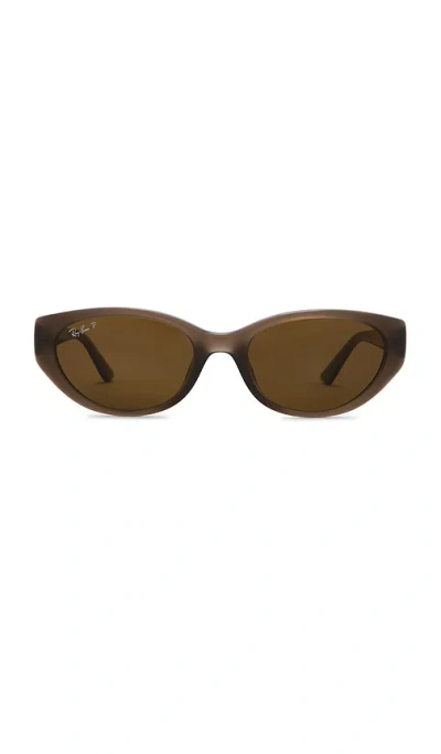 Ray Ban Oval Sunglasses In Brown