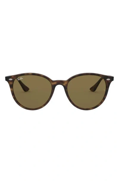 Ray Ban Ray-ban Phantos 53mm Polarized Round Sunglasses In Havana/brown Solid
