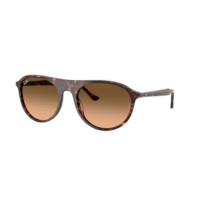Ray Ban Pink Gradient Black Square Unisex Sunglasses Rb2215 14293b 59 In Brown