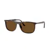 Ray Ban Ray In Brown