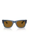 Ray Ban Ray In Blue