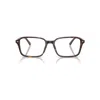 Ray Ban Raimond Optics Eyeglasses Havana Frame Clear Lenses Polarized 54-18 In Havana