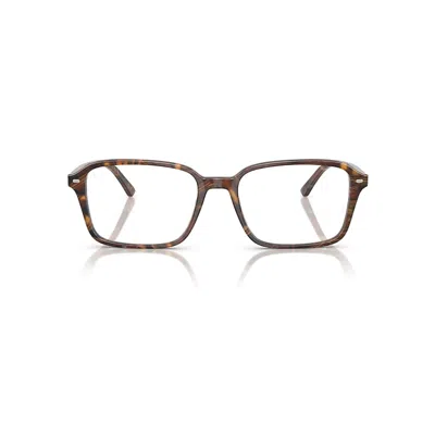 Ray Ban Raimond Optics  Transparent Fantasy Braun/gelb Fassung Klar Glas Polarisiert 56-18 In Transparent Fantasy Brown&#47yellow