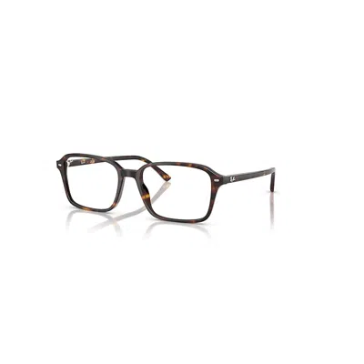 Ray Ban Raimond Optics  Havana Fassung Klar Glas Polarisiert 54-18
