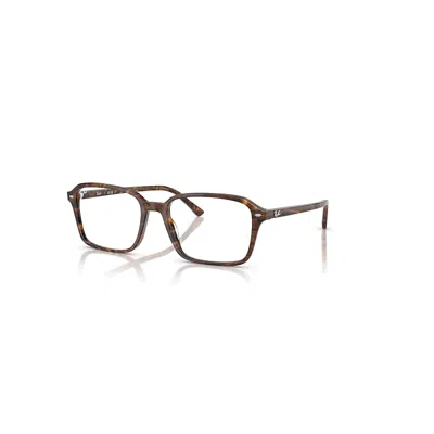 Ray Ban Raimond Optics  Transparent Fantasy Braun/gelb Fassung Klar Glas Polarisiert 54-18 In Brown