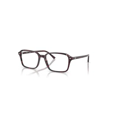 Ray Ban Raimond Optics  Transparent Fantasy Violett/rot Fassung Klar Glas Polarisiert 56-18 In Transparent Fantasy Violett&#47rot