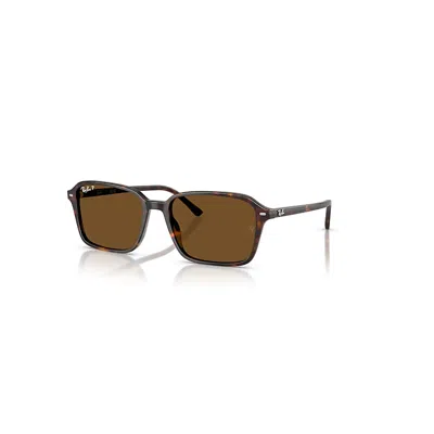 Ray Ban Raimond Sonnenbrillen Havana Fassung Braun Glas Polarisiert 56-18 In Brown