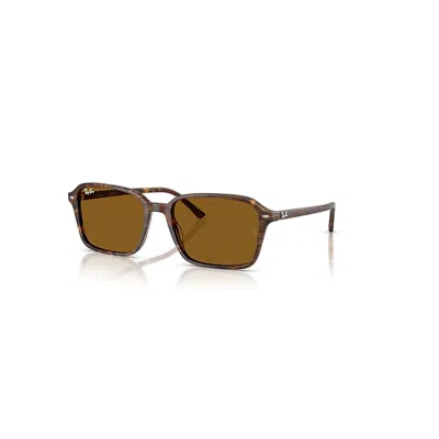 Ray Ban Raimond Sonnenbrillen Transparent Fantasy Braun Fassung Braun Glas 56-18 In Burgundy