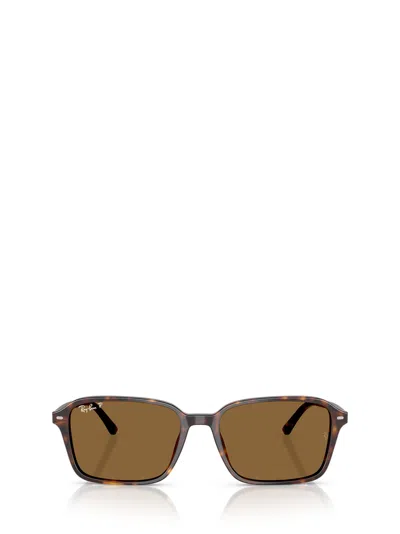 Ray Ban Raimond Sunglasses