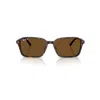 Ray Ban Raimond Sunglasses Havana Frame Brown Lenses Polarized 56-18 In Havana