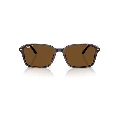 Ray Ban Raimond Sunglasses Havana Frame Brown Lenses Polarized 58-18