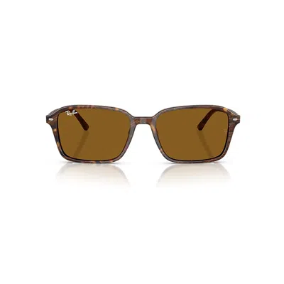 Ray Ban Raimond Sunglasses Transparent Fantasy Brown Frame Brown Lenses 58-18