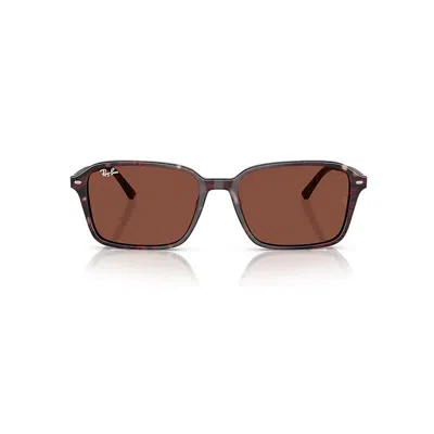 Ray Ban Raimond Sunglasses Transparent Fantasy Violet/red Frame Red Lenses 56-18 In Transparent Fantasy Violet&#47red