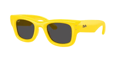 Ray Ban Ray