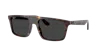 Ray Ban Ray