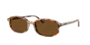 Ray Ban Sam Sunglasses Havana Brown Grey Frame Brown Lenses Polarized 54-19 In Brown