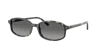 Ray Ban Ray
