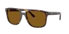 Ray Ban Ray In Brown