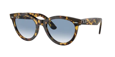Ray Ban Ray In Burgundy