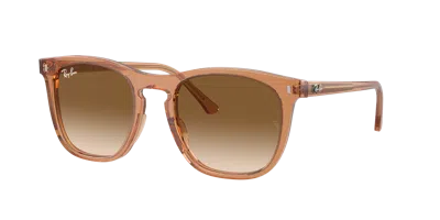 Ray Ban Ray In Brown