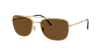 Ray Ban Ray In Brown