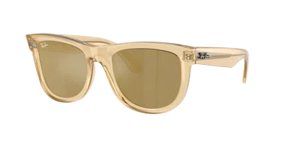 Ray Ban Ray In Brown