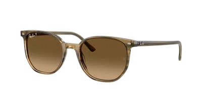 Ray Ban Ray In Brown