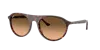 Ray Ban Ray