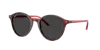 Ray Ban Ray In Brown
