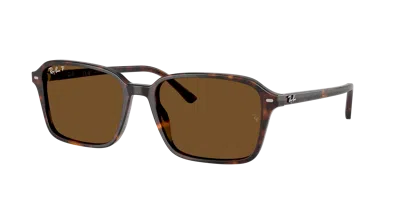 Ray Ban Ray In B-15 Brown