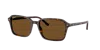 Ray Ban Ray In B-15 Brown