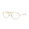 Ray Ban Bain Bridge Transitions® Sonnenbrillen Arista Gold Fassung Grau Glas 57-17