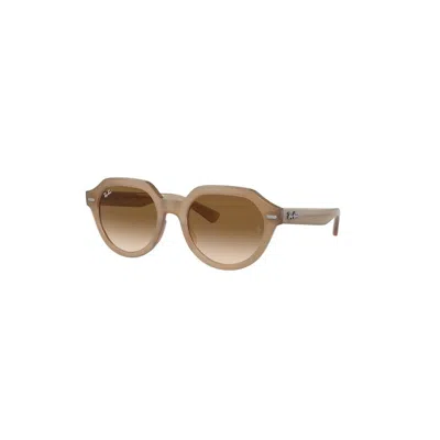 Ray Ban Gina Sunglasses Turtledove Frame Brown Lenses 53-21