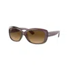 Ray Ban Jackie Ohh Transparent Sunglasses Transparent Dark Brown Frame Brown Lenses Polarized 58-17