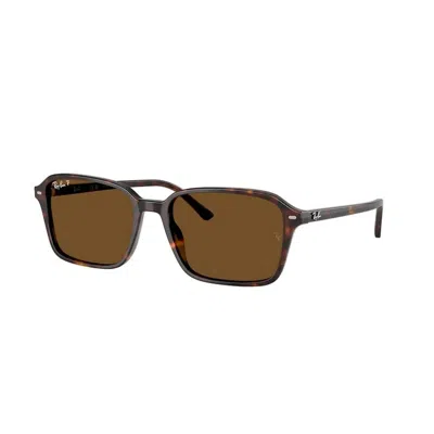 Ray Ban Ray-ban Ray-ban Raimond Rb2231 902/57
