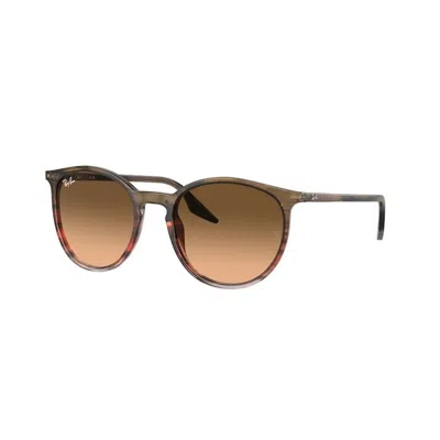 Ray Ban Ray-ban Ray-ban Rb2204 13953b In Brown