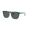 Ray Ban 53mm Polarized Square Sunglasses